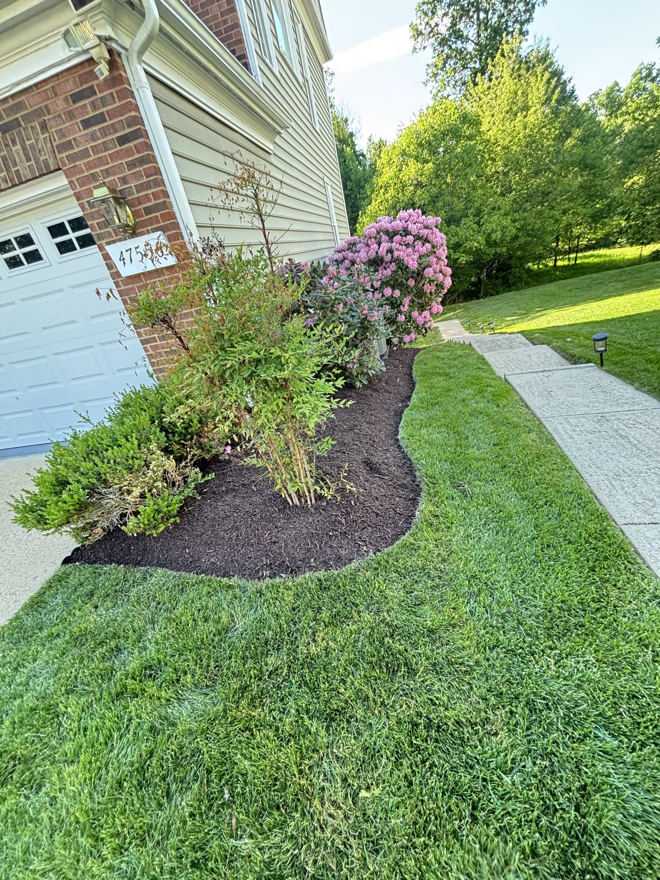 Fresh mulch bed with flowering shrubs and clean lawn edge