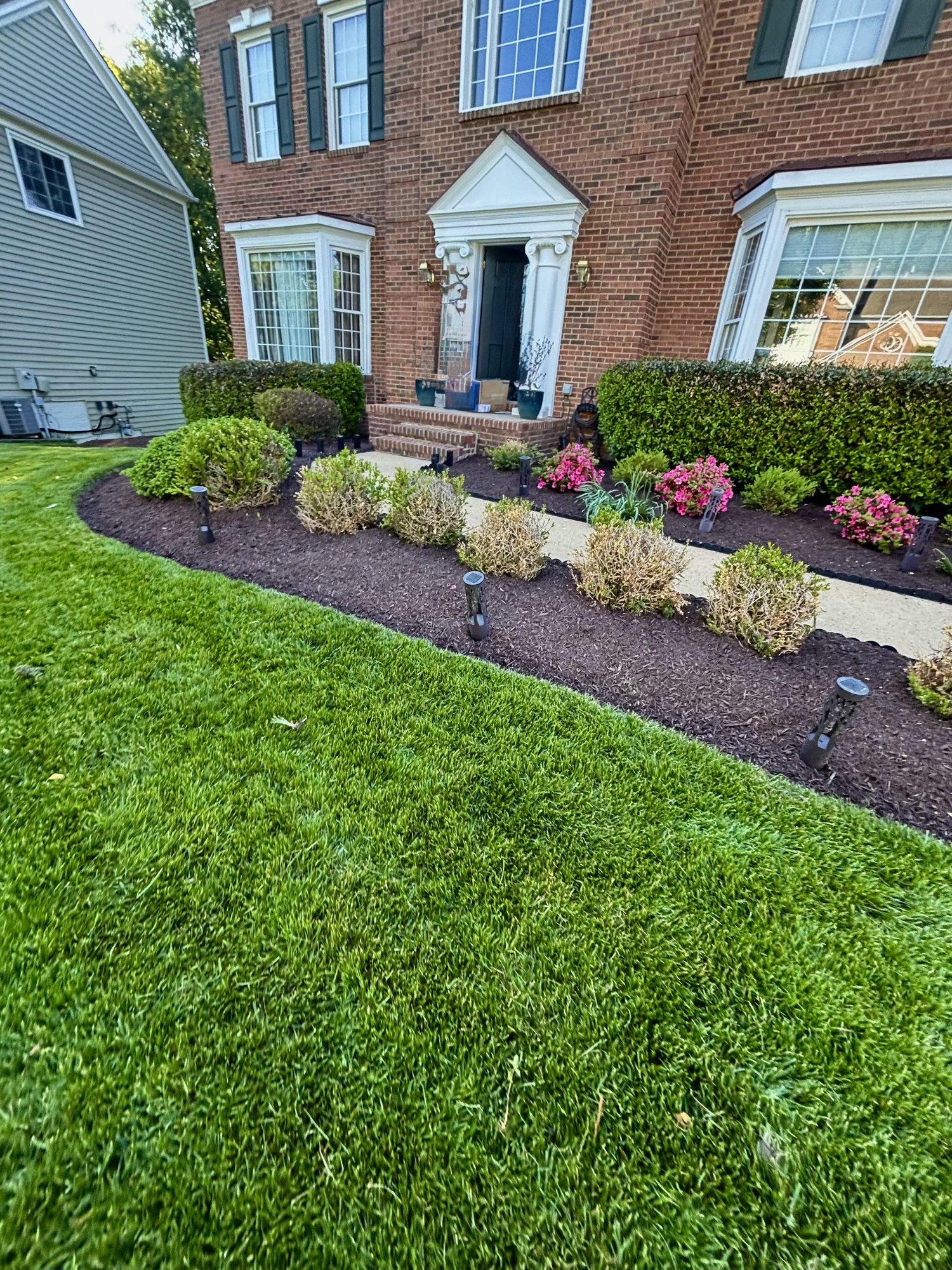 Front entry bed with fresh mulch and trimmed shrubs