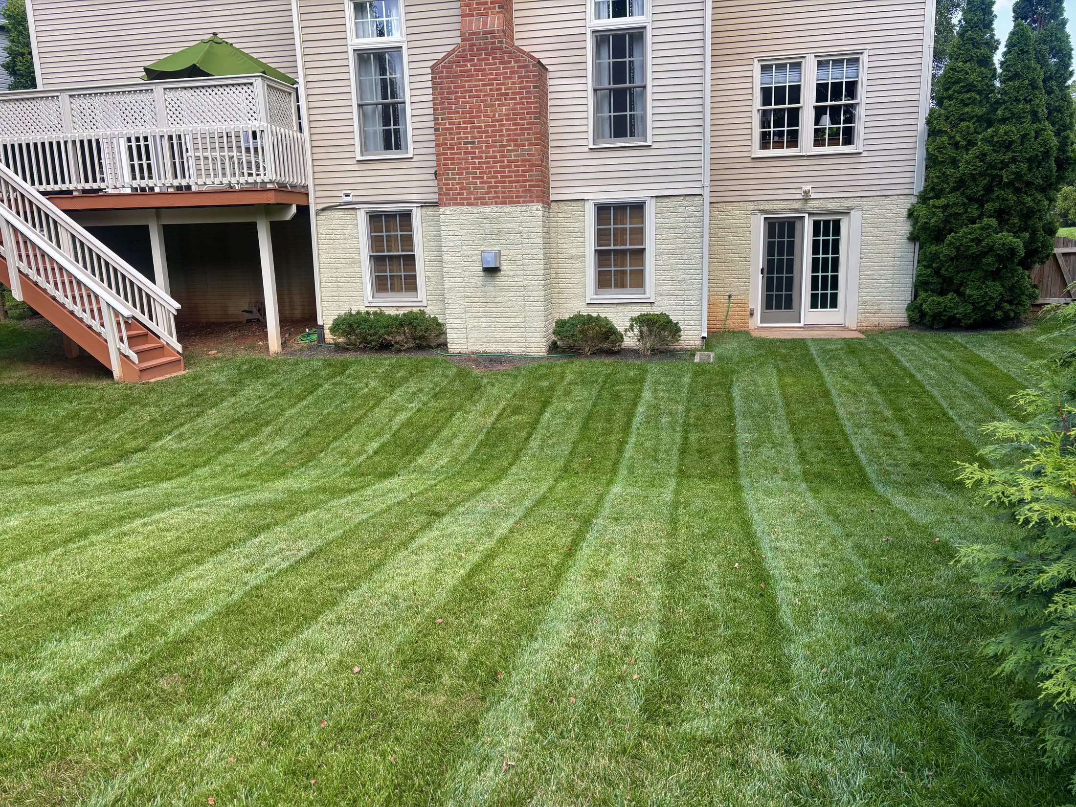 Freshly mowed backyard with clean lawn stripes behind a home