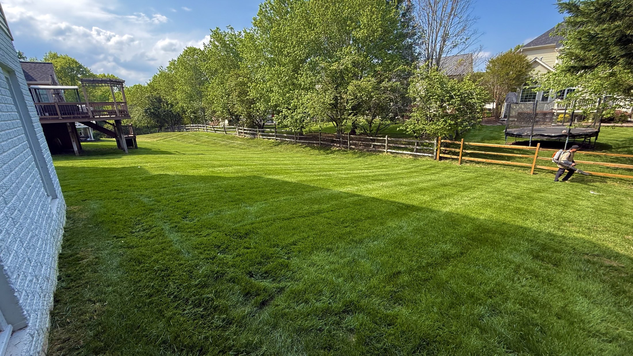 Wide backyard lawn with fresh mowing lines near a deck