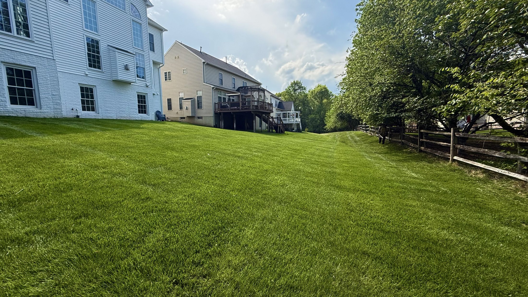 Side yard with fresh lawn lines along a fence